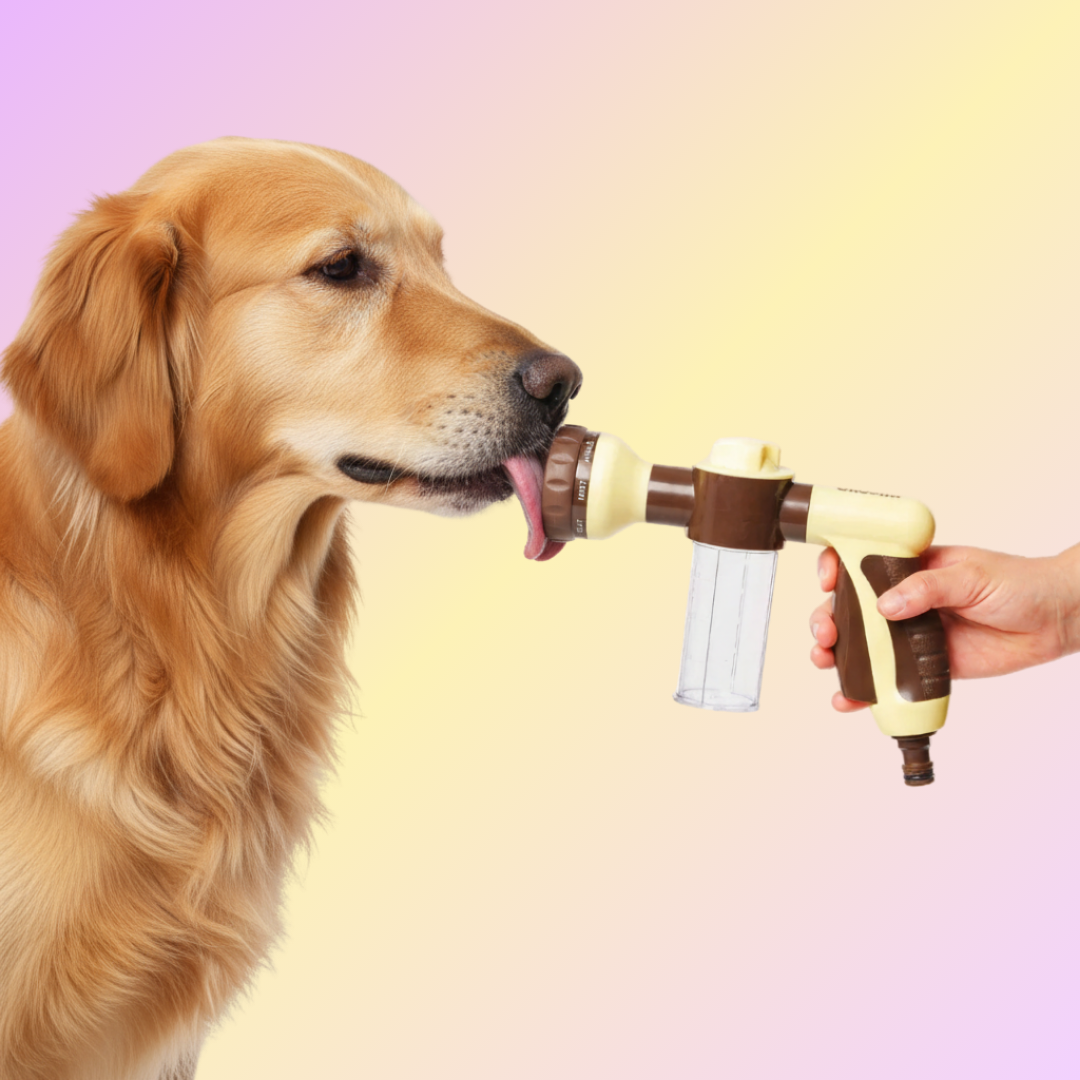 ערכת שטיפה לכלבים