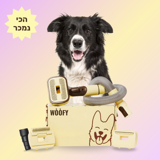 ערכת שאיבה לכלב 3-ב1